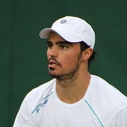 Andrea Collarini