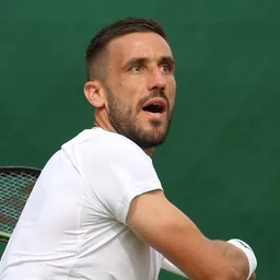 Damir Dzumhur
