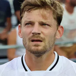 David Goffin