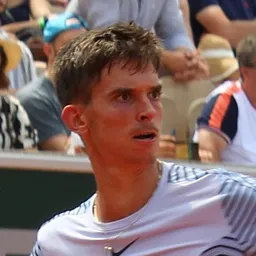 Dino Prizmic