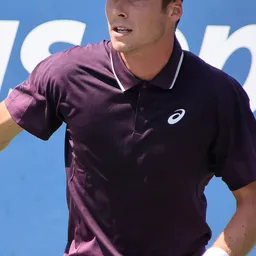 Vilius Gaubas